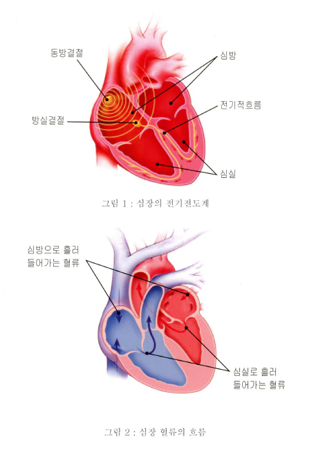 1.심장이란